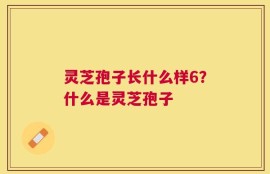 灵芝孢子长什么样6？什么是灵芝孢子