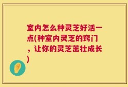室内怎么种灵芝好活一点(种室内灵芝的窍门，让你的灵芝茁壮成长)