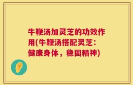 牛鞭汤加灵芝的功效作用(牛鞭汤搭配灵芝：健康身体，稳固精神)