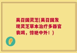 吴召国灵芝(吴召国发现灵芝草本治疗多器官衰竭，惊艳中外！)