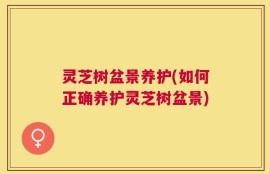 灵芝树盆景养护(如何正确养护灵芝树盆景)