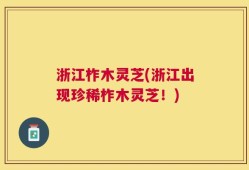 浙江柞木灵芝(浙江出现珍稀柞木灵芝！)