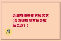 合浦有哪些地方收灵芝(合浦哪些地方适合收获灵芝？)