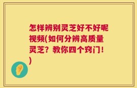 怎样辨别灵芝好不好呢视频(如何分辨高质量灵芝？教你四个窍门！)