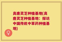高唐灵芝种植基地(高唐灵芝种植基地：探访中国传统中草药种植基地)