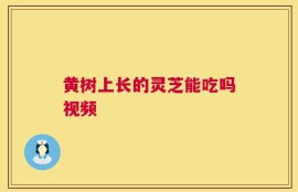 黄树上长的灵芝能吃吗视频