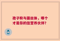 孢子粉与菌丝体，哪个才是你的佳营养伙伴？