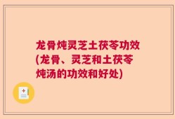 龙骨炖灵芝土茯苓功效(龙骨、灵芝和土茯苓炖汤的功效和好处)