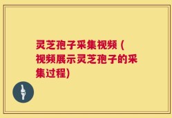 灵芝孢子采集视频 (视频展示灵芝孢子的采集过程)