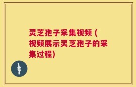 灵芝孢子采集视频 (视频展示灵芝孢子的采集过程)