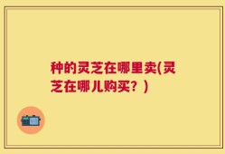 种的灵芝在哪里卖(灵芝在哪儿购买？)