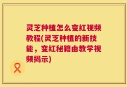 灵芝种植怎么变红视频教程(灵芝种植的新技能，变红秘籍由教学视频揭示)