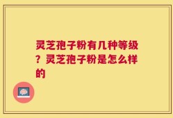 灵芝孢子粉有几种等级？灵芝孢子粉是怎么样的