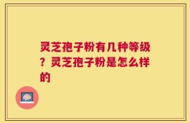 灵芝孢子粉有几种等级？灵芝孢子粉是怎么样的