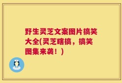 野生灵芝文案图片搞笑大全(灵芝瞎搞，搞笑图集来袭！)
