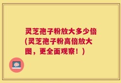 灵芝孢子粉放大多少倍(灵芝孢子粉高倍放大图，更全面观察！)
