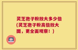 灵芝孢子粉放大多少倍(灵芝孢子粉高倍放大图，更全面观察！)
