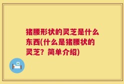 猪腰形状的灵芝是什么东西(什么是猪腰状的灵芝？简单介绍)