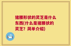 猪腰形状的灵芝是什么东西(什么是猪腰状的灵芝？简单介绍)