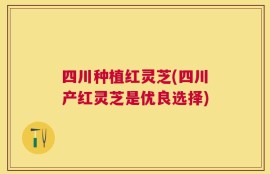 四川种植红灵芝(四川产红灵芝是优良选择)
