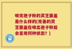 喷完孢子粉的灵芝菌盖是什么样的(完善的灵芝菌盖在喷出孢子粉后会呈现何种状态？)