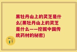 黑牡丹山上的灵芝是什么(黑牡丹山上的灵芝是什么——挖掘中国传统药材的秘密)