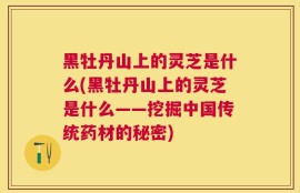 黑牡丹山上的灵芝是什么(黑牡丹山上的灵芝是什么——挖掘中国传统药材的秘密)