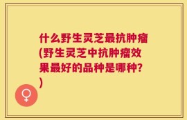 什么野生灵芝最抗肿瘤(野生灵芝中抗肿瘤效果最好的品种是哪种？)
