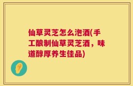 仙草灵芝怎么泡酒(手工酿制仙草灵芝酒，味道醇厚养生佳品)