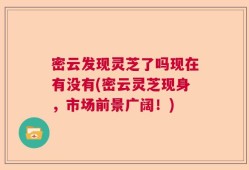 密云发现灵芝了吗现在有没有(密云灵芝现身，市场前景广阔！)