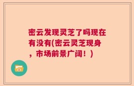 密云发现灵芝了吗现在有没有(密云灵芝现身，市场前景广阔！)