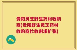 贵阳灵芝野生药材收购商(贵阳野生灵芝药材收购商忙收割求扩张)