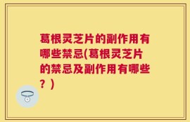 葛根灵芝片的副作用有哪些禁忌(葛根灵芝片的禁忌及副作用有哪些？)
