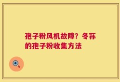 孢子粉风机故障？冬荪的孢子粉收集方法