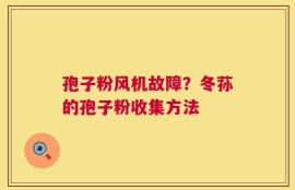 孢子粉风机故障？冬荪的孢子粉收集方法