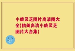 小鹿灵芝图片高清图大全(精美高清小鹿灵芝图片大合集)
