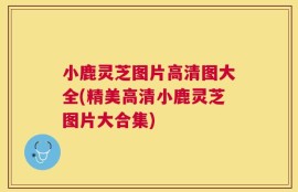 小鹿灵芝图片高清图大全(精美高清小鹿灵芝图片大合集)