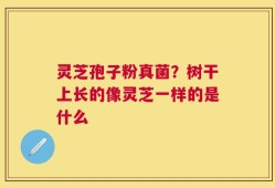 灵芝孢子粉真菌？树干上长的像灵芝一样的是什么