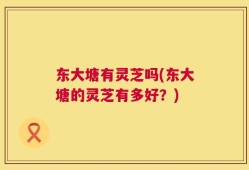 东大塘有灵芝吗(东大塘的灵芝有多好？)