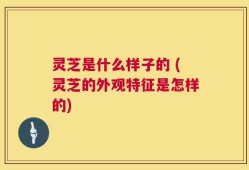 灵芝是什么样子的 (灵芝的外观特征是怎样的)