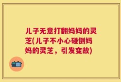 儿子无意打翻妈妈的灵芝(儿子不小心碰倒妈妈的灵芝，引发变故)