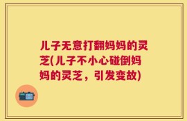 儿子无意打翻妈妈的灵芝(儿子不小心碰倒妈妈的灵芝，引发变故)