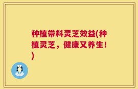种植带料灵芝效益(种植灵芝，健康又养生！)