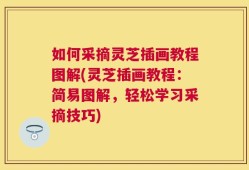如何采摘灵芝插画教程图解(灵芝插画教程：简易图解，轻松学习采摘技巧)