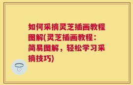 如何采摘灵芝插画教程图解(灵芝插画教程：简易图解，轻松学习采摘技巧)