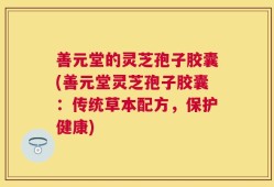 善元堂的灵芝孢子胶囊(善元堂灵芝孢子胶囊：传统草本配方，保护健康)