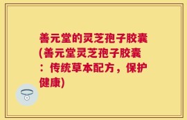 善元堂的灵芝孢子胶囊(善元堂灵芝孢子胶囊：传统草本配方，保护健康)