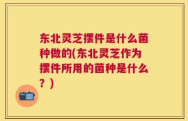 东北灵芝摆件是什么菌种做的(东北灵芝作为摆件所用的菌种是什么？)