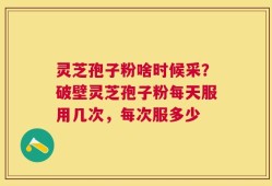灵芝孢子粉啥时候采？破壁灵芝孢子粉每天服用几次，每次服多少