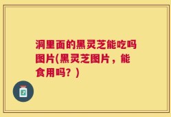 洞里面的黑灵芝能吃吗图片(黑灵芝图片，能食用吗？)